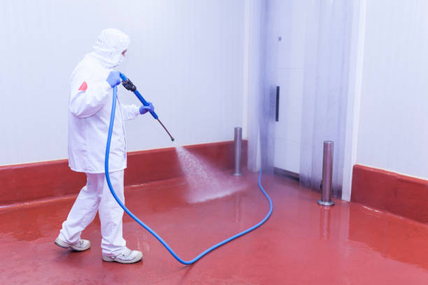 Best Dumpster Area Cleaning  in Holly Hill, FL