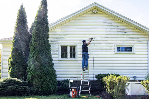 Best Solar Panel Cleaning  in Holly Hill, FL