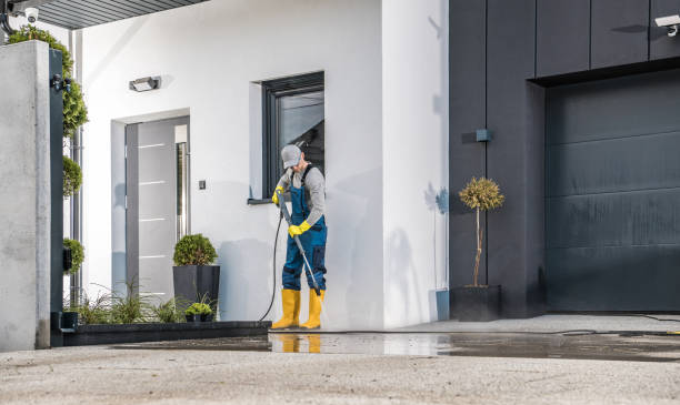 Best Spring Cleaning  in Holly Hill, FL